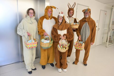 Symbolbild zum Artikel. Der Link öffnet das Bild in einer großen Anzeige.